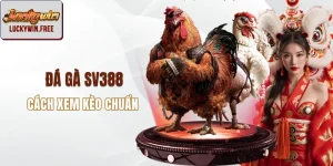 Đá gà sv388