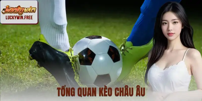 Tổng quan về kèo 1X2, tập trung vào thắng – hòa – thua.
